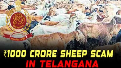 Telangana’s ₹1000 Crore Sheep Scam: ED Uncovers Widespread Fraud Across State