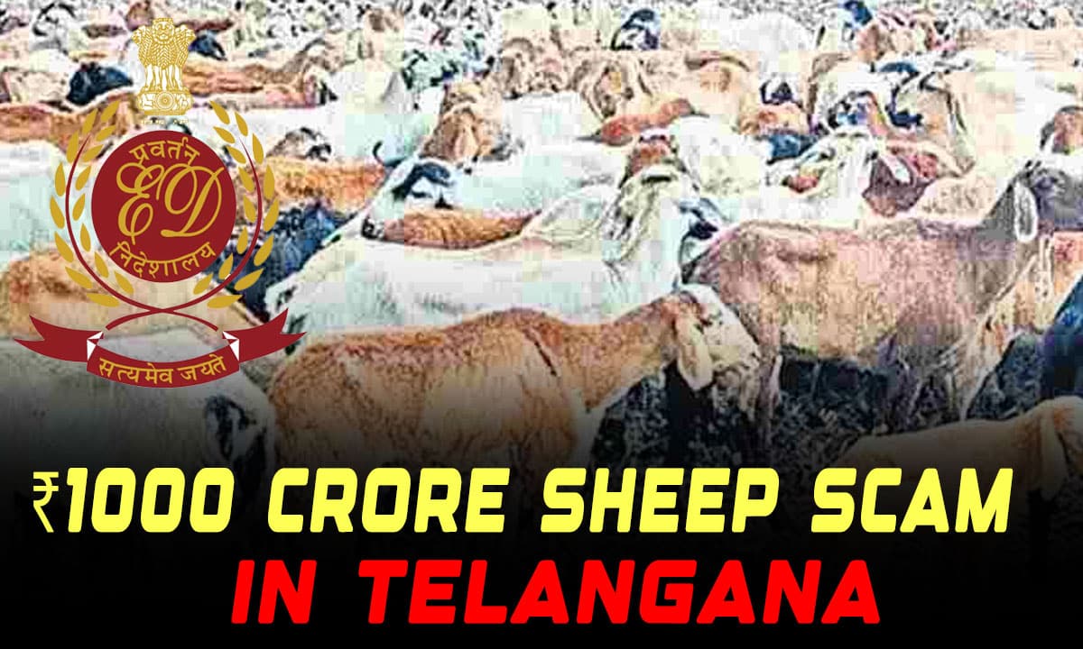 Telangana’s ₹1000 Crore Sheep Scam: ED Uncovers Widespread Fraud Across State