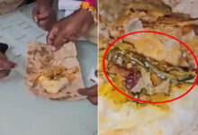 Hyderabad Horror: Snake Found in Curry Puff at Bakery, Woman Lodges Police Complaint: Video