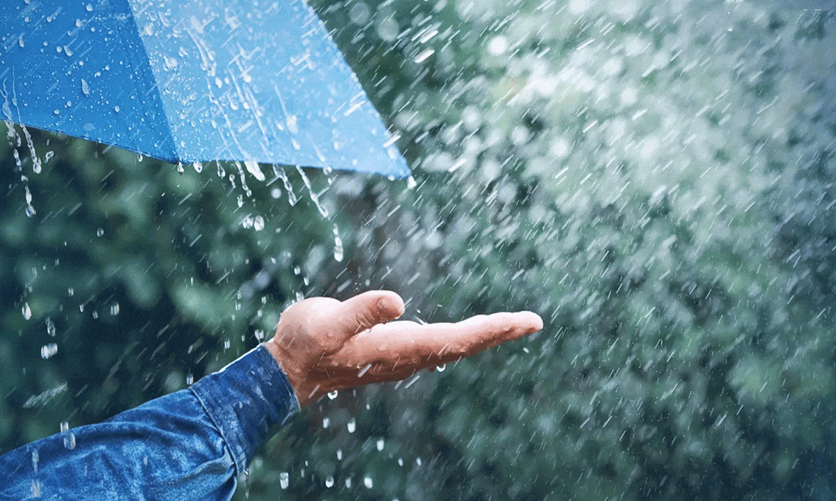 Heavy rain likely in North Coastal AP, Yanam on Sept 2-3: Met
