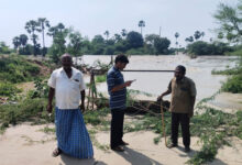 Local pond in Atma Koram mandal of Yadadri Bhongir district submerged