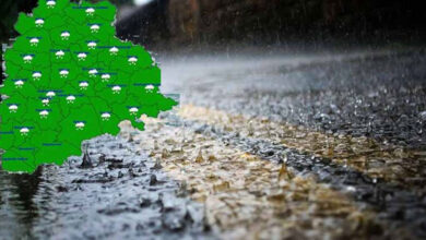 Relentless Rainfall in Telangana Claims Two More Lives; Total Toll Rises to Nine