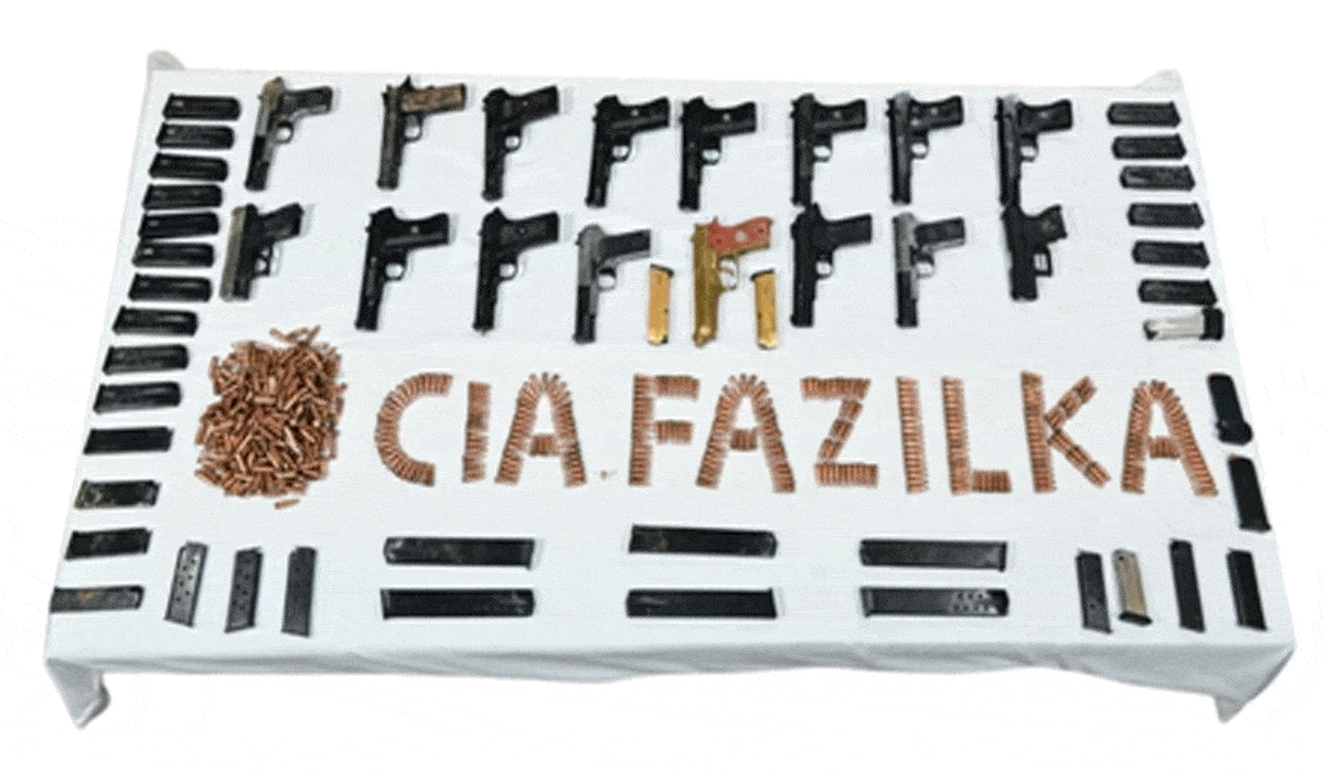 Punjab: Huge haul of arms seized along Indo-Pak border; two held