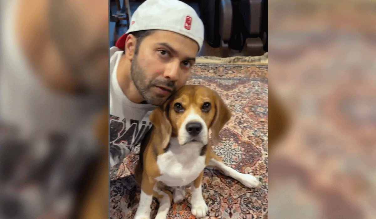 Mumbai: Varun Dhawan has found a new dance partner, and the best one at that in his furry baby Joey.  Varun was seen grooving with his furry friend on the “Bijuria” track from his highly anticipated next, “Sunny Sanskari Ki Tulsi Kumari”. The goofy clip had him enjoying some masti time with Joey, ditching his original dance partner for the song, Janhvi Kapoor. Apologizing to his 'Bawaal' co-star, Varun penned the caption: "Found the best dance partner...Sorry @janhvikapoor." Also Read: Unlabelled 340 kg meat seized in J&K’s Srinagar city Reacting to the post, actress Pooja Hegde, who will be seen alongside Varun in "Hai Jawani Toh Ishq Hona Hai", shared: "Joey has had enough," followed by a laughing with tears emoji. Their co-star Mouni Roy added: "Joeyyyyyyyyyy," along with four love-eyed emojis. The makers of “Sunny Sanskari Ki Tulsi Kumari” unveiled the “Bijuria” song on Wednesday. Talking about the remixed number, Varun said: “When I first heard this new version of Bijuria, nostalgia hit hard, and I knew it was something special. There’s a connection and a vibe we’ve all grown up listening and dancing to, but this version has a fresh, crazy energy that matches the madness of our film and makes you want to get up and dance.” Reflecting on the shooting of the song, he added: “Shooting this with Janhvi and getting the OG Sonu Nigam sir singing the track was a fun experience, the hookstep, beats, and the vibe has been stuck in my head ever since. I hope this song plays at every party in the coming festive season." The new version of the "Bijuria" song originally crooned by Sonu Nigam has been reimagined, composed, and produced by Tanishk Bagchi, with additional lyrics also provided by him. Nigam claimed that "Bijuria" is one of those songs that has lived many lives. “When we first recorded it, I had no idea it would be so loved and would last so long, evergreen, as if eternal . Revisiting it now decades later, feels like a full-circle moment. I’m humbled that the original vocals still resonate enough to be part of this reimagined version.", he shared.