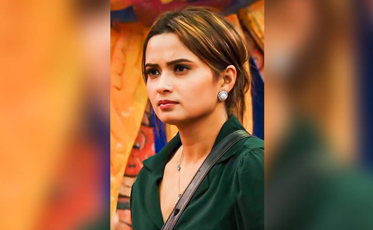 Bigg Boss 19: Neelam Giri hides “golden biscuits” inside her T-shirt during the task, male contestants lash out