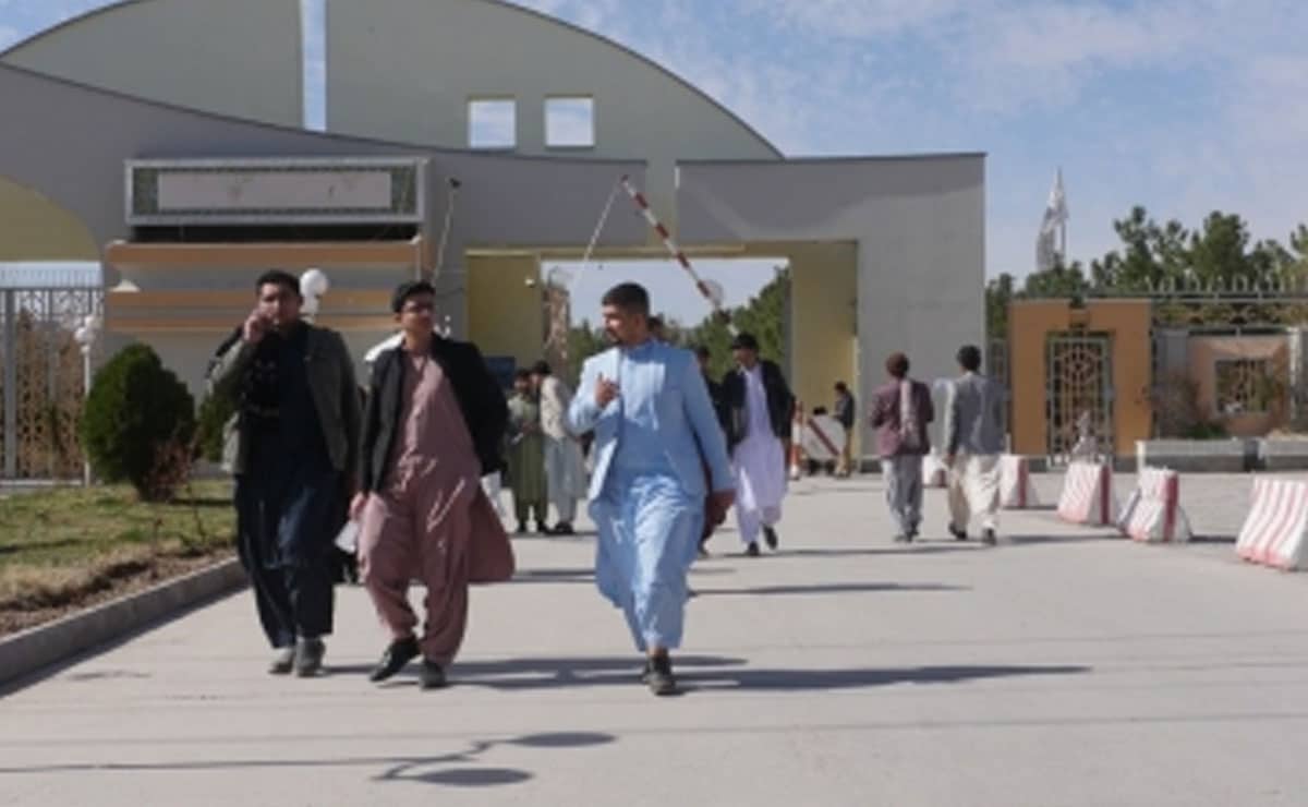 India announces 1,000 online scholarships for Afghan students under special scheme