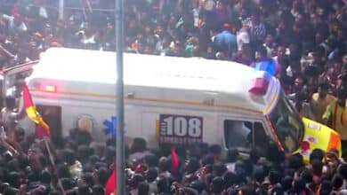 TN BJP calls for stringent action against Vijay over Karur stampede tragedy