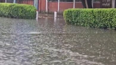 Showers of relief: Heavy rain cools NCR, brings respite from humid weather