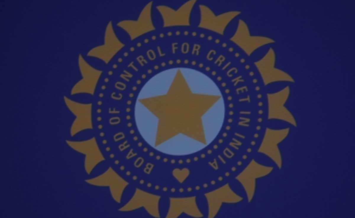 BCCI invites bids to replace Dream 11 as national team lead sponsor