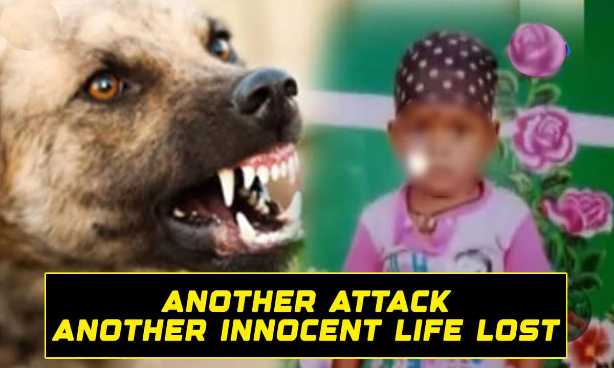 Another Attack, Another Innocent Life Lost: Stray Dog Menace Sparks Outrage in Telangana