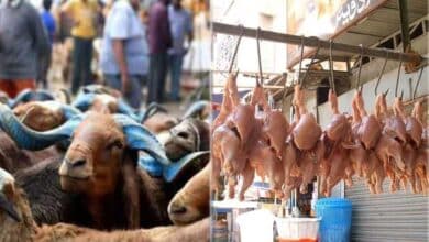 Dasara Lucky Draw in Telangana: Win Goats, Beer, and Chickens for ₹150