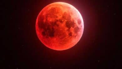 Lunar Eclipse Tonight: What to Do If You Accidentally Look at It