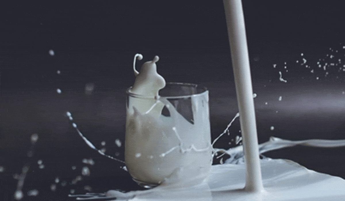 Kerala pushes for milk self-sufficiency, farmers gain Rs 254.79 Cr in support
