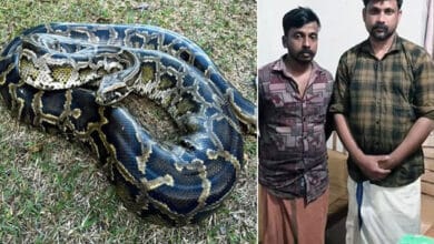 Two Men Arrested in Kerala for Killing and Cooking Python
