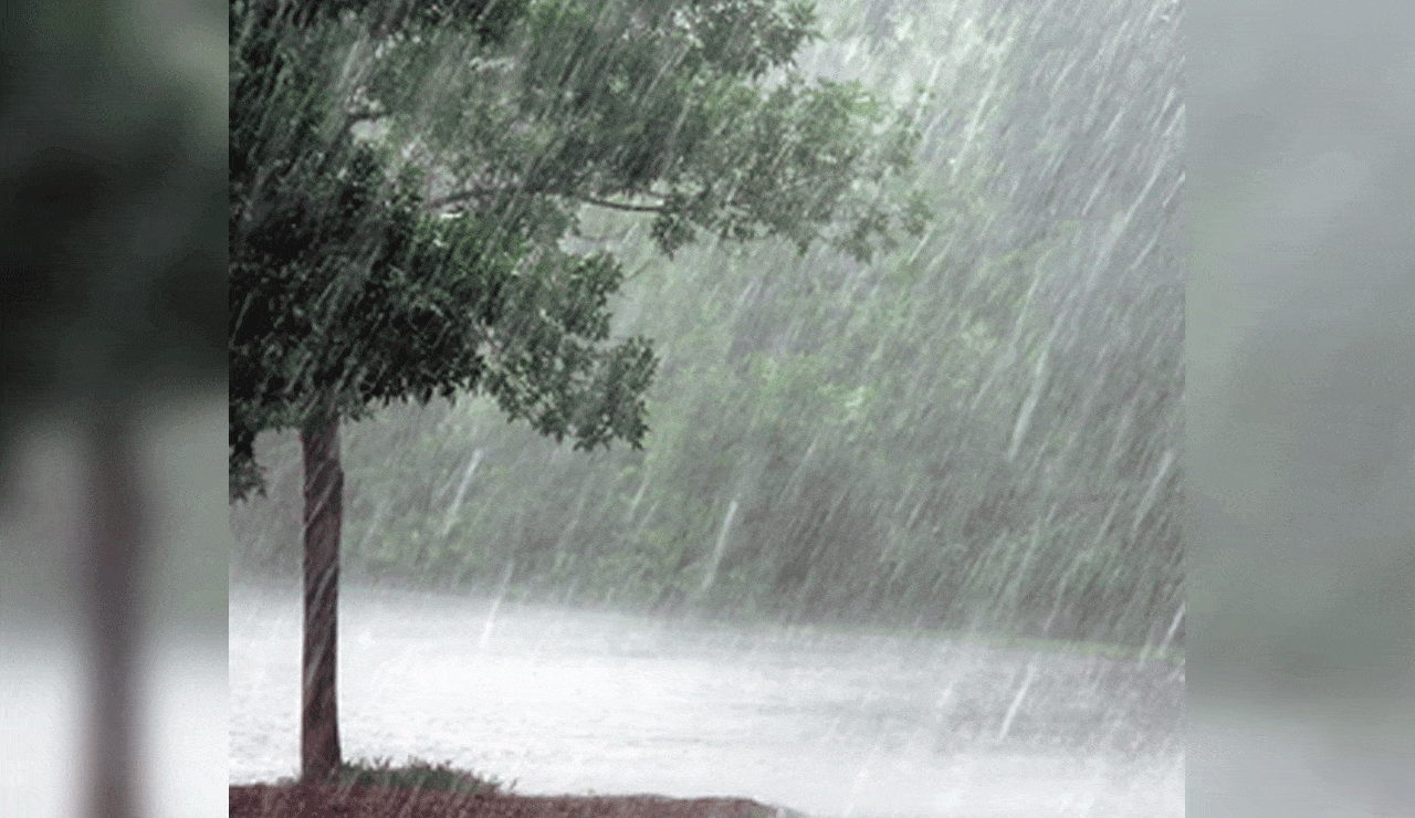 Heavy to very heavy rain forecast in Telangana over next 24 hours: Met Centre