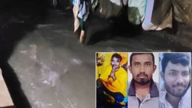 Hyderabad Rain Tragedy: Three Feared Drowned in Drains, Low-Lying Areas Submerged