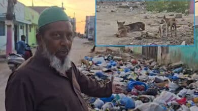 Wadi Saleheen Residents Suffer Amid Garbage Heaps, Stray Dogs, Demand Urgent Action