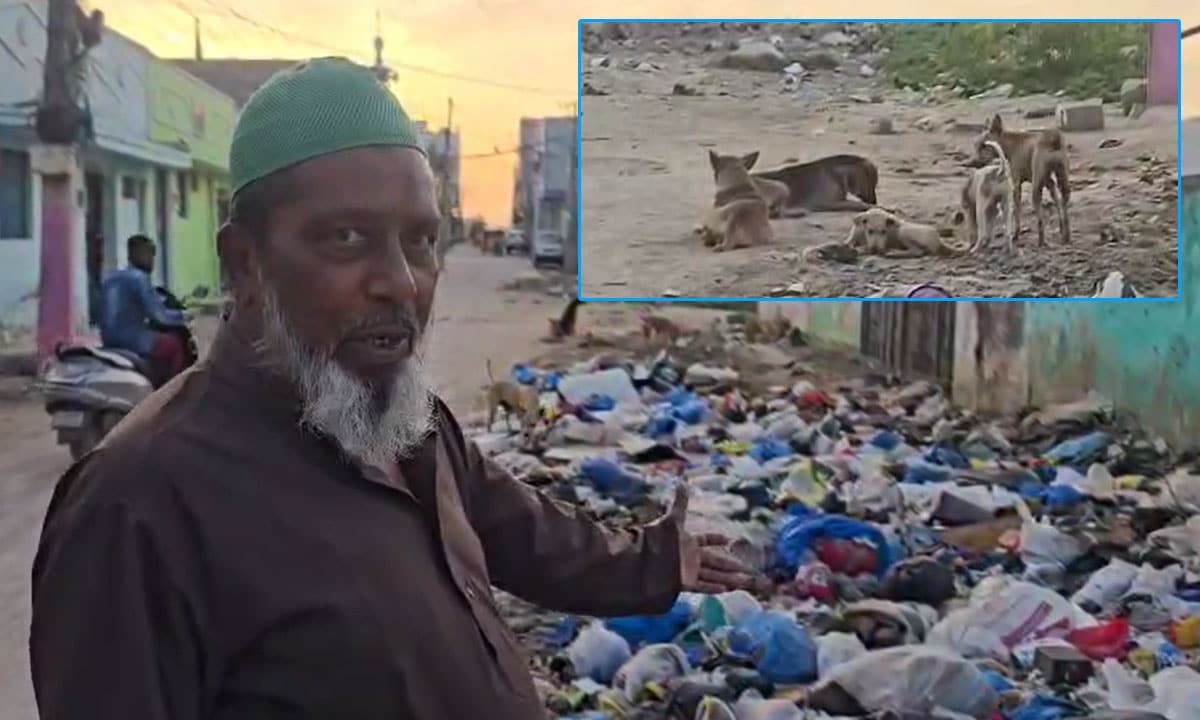 Wadi Saleheen Residents Suffer Amid Garbage Heaps, Stray Dogs, Demand Urgent Action