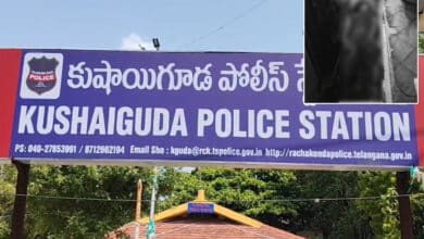 Husband Fatally Stabs Wife with Knife, Flees Scene