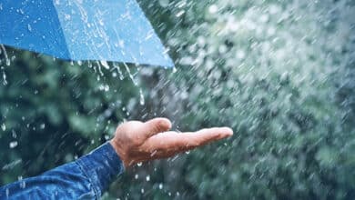 Thunderstorms, heavy rain forecast for parts of Tamil Nadu today