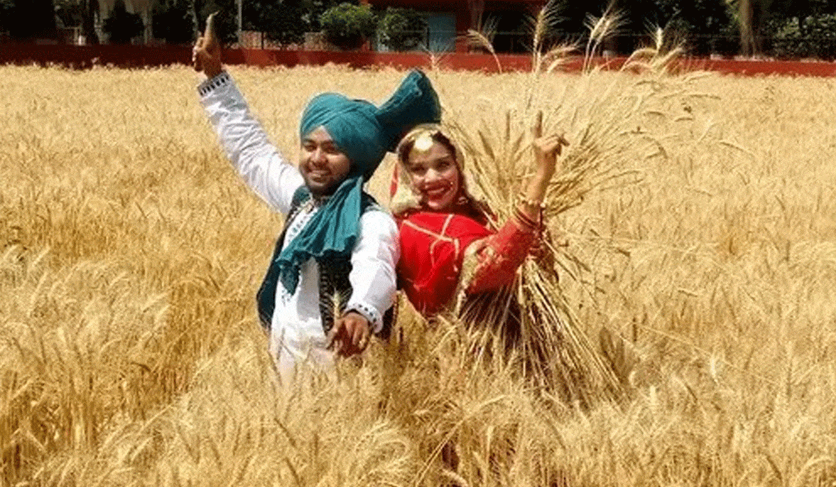 Hike in MSP assures farmers of Rs 84,263 crore for sale of rabi crops in 2026-27