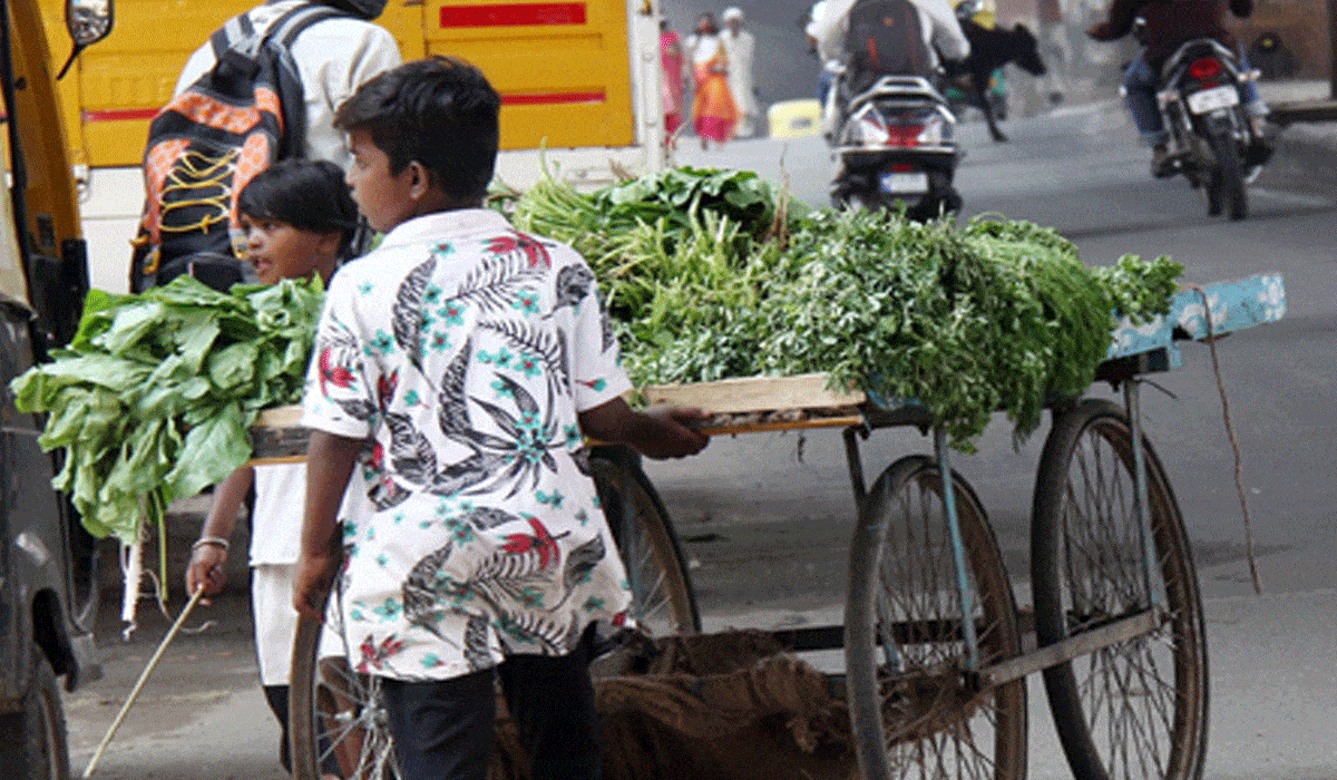 Rajasthan: Children below 14 banned from working in shops and commercial establishments