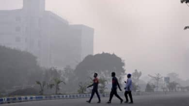 Sound, air pollution levels exceed limits in Kolkata as firecracker norms flouted