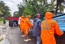 Relief, restoration works in full swing in cyclone-hit Andhra Pradesh