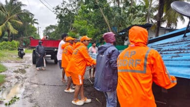 Relief, restoration works in full swing in cyclone-hit Andhra Pradesh