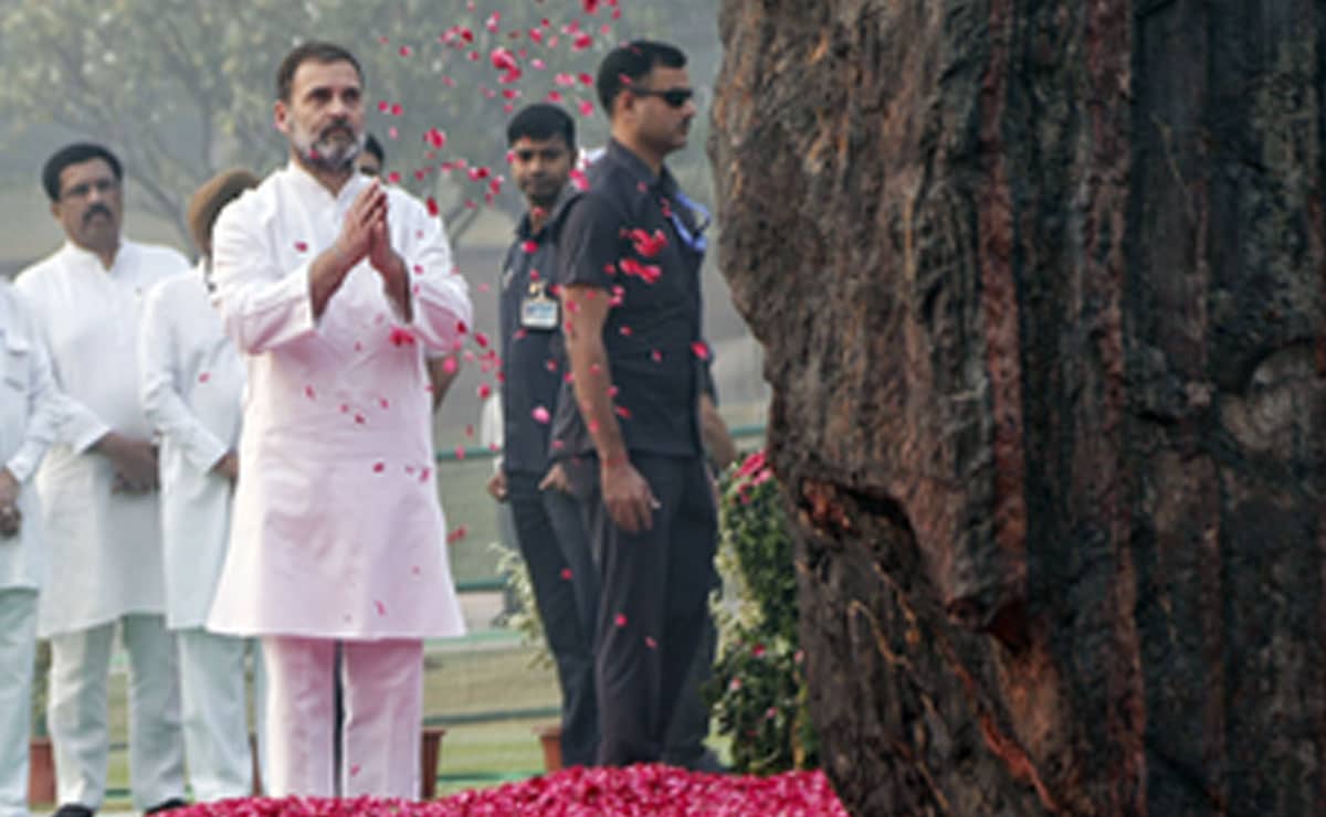 India’s Indira-fearless, resolute and steadfast: LoP Rahul Gandhi leads tributes on late PM's death anniv