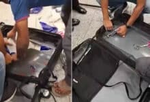 DRI Seizes ₹4.15 Crore Worth of Hydroponic Cannabis at Hyderabad Airport; Passenger Arrested