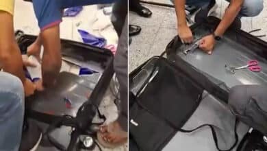 DRI Seizes ₹4.15 Crore Worth of Hydroponic Cannabis at Hyderabad Airport; Passenger Arrested