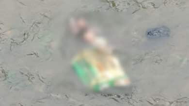 Hyderabad Shocker: Infant’s Body Found in Santosh Nagar Drain; Police Launch Probe