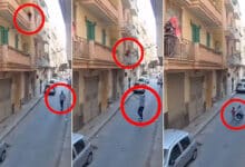 Man Catches Falling Child Mid-Air in Daring Rescue — Internet Can’t Believe It’s Real!