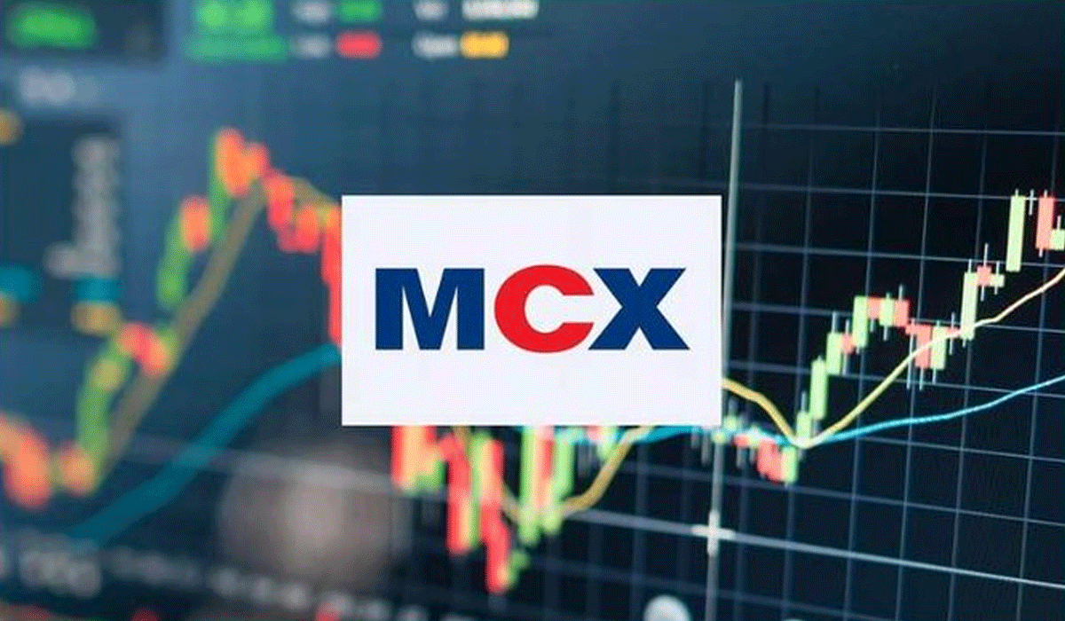 MCX trading halted for over four hours due to technical glitch, probe initiated