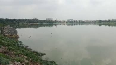 Panic at Saroornagar Lake as Crane Tilts During Idol Immersion