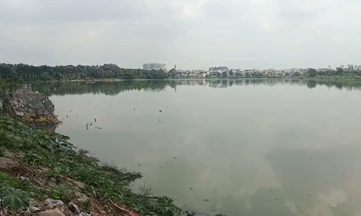 Panic at Saroornagar Lake as Crane Tilts During Idol Immersion