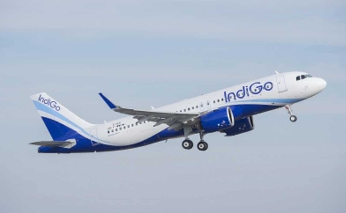 DGCA fines IndiGo Rs 20 lakh for lapses in pilot training