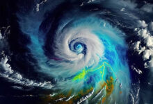 Cyclone 'Ditwah': Heavy rain forecast in Tamil Nadu tomorrow