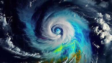 Cyclonic storm 'Ditwah': Red alert in TN's Delta, North coastal districts