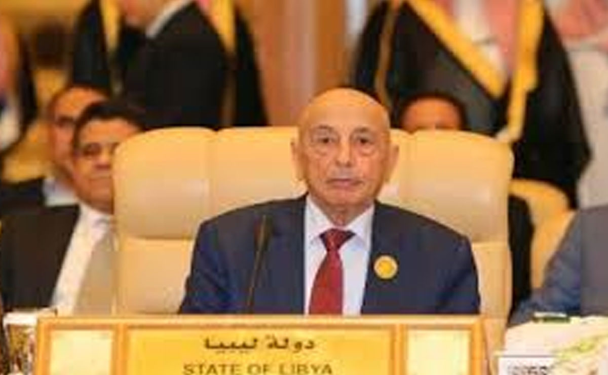 Libyan parliament speaker calls for immediate presidential election