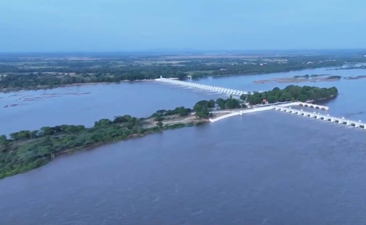 Heavy rain revives Chennai catchment areas; water released from three major reservoirs