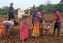 e-KYC a simple and accurate way of verification of job cards: Govt