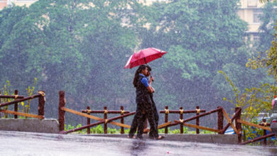 Heavy rain to persist in Kerala; IMD issues yellow alert for multiple districts