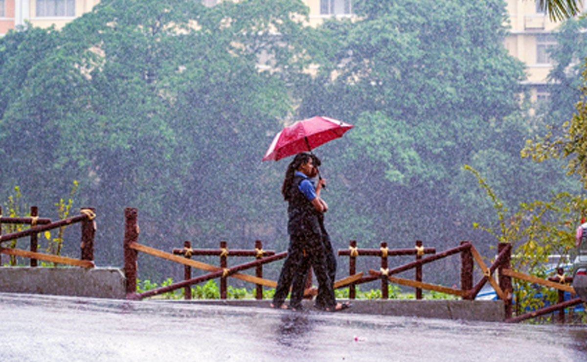 Heavy rain to persist in Kerala; IMD issues yellow alert for multiple districts