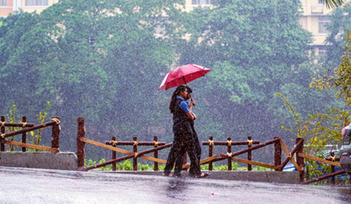 Heavy rain to persist in Kerala; IMD issues yellow alert for multiple districts