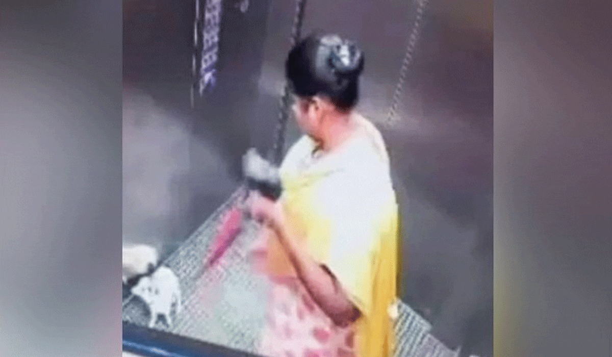 Domestic worker smashes puppy to death inside apartment lift in Bengaluru; CCTV footage sparks outrage