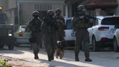 Israeli forces step up operations in southern Syria: Monitoring group