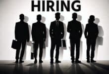 India’s white‑collar hiring strong in October; education, finance up 13 to 15 pc