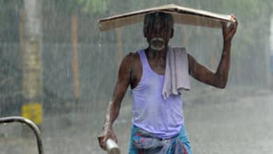 Rain forecast for Chennai; temperature spikes across TN